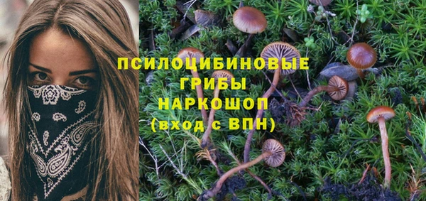 таблы Кукмор