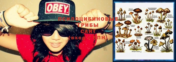трава Куйбышев