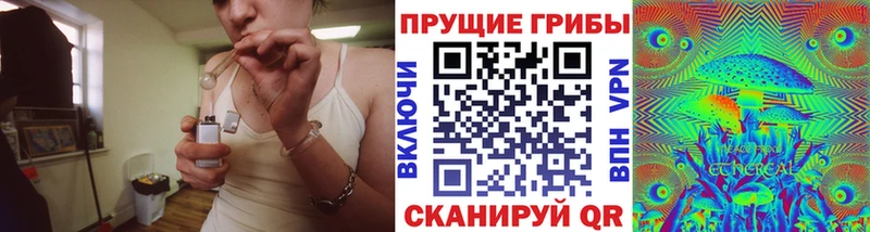 ОМГ ОМГ зеркало купить цена Юрьевец Галлюциногенные грибы MAGIC MUSHROOMS